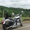[PD] Harley Davidson - 0006